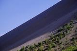 miniature-Tad387img026.jpg