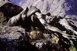 miniature-Tad394img033.jpg