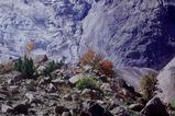miniature-Tad399img002.jpg