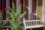 miniature-Tad417img020.jpg