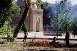 miniature-Tad461img028.jpg