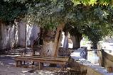 miniature-Tad487img018.jpg