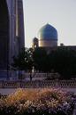miniature-Tad502img033.jpg