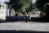 miniature-Tad519img014.jpg