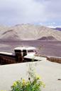 miniature-0049.jpg