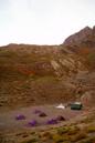 miniature-0239.jpg
