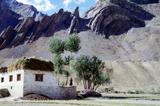 miniature-0278.jpg