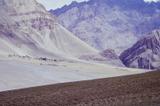 miniature-0288.jpg