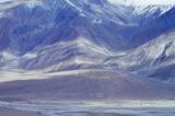 miniature-0305.jpg