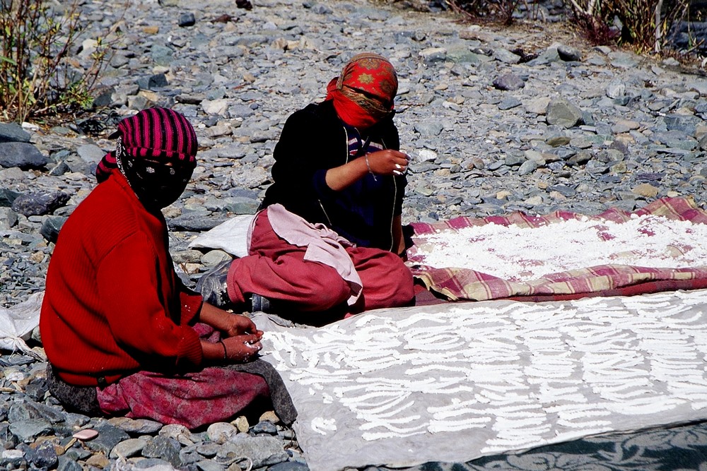 cd01-img003-.jpg