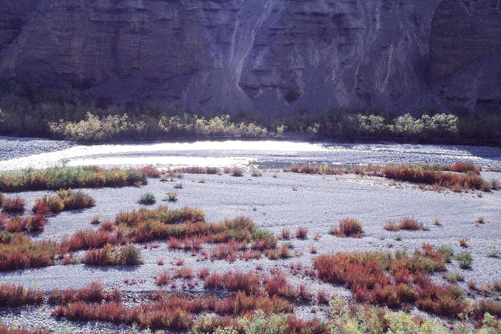 cd02-img035-.jpg