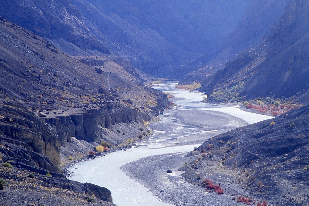 cd04-img017-.jpg
