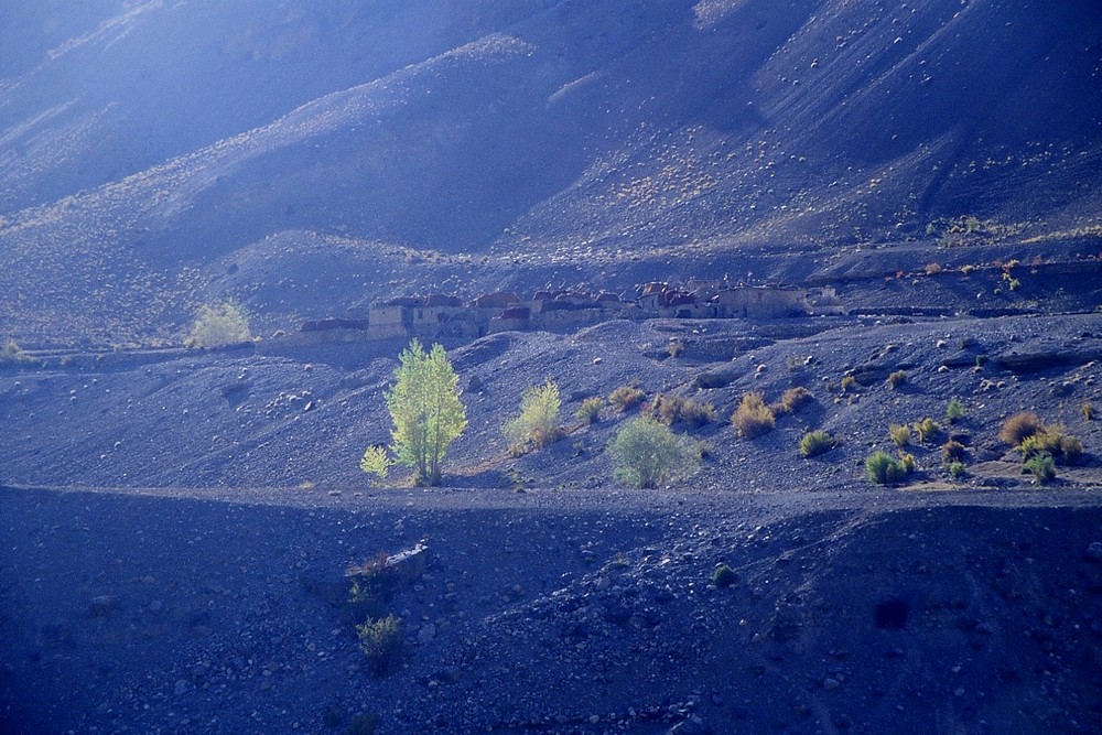 cd04-img018-.jpg