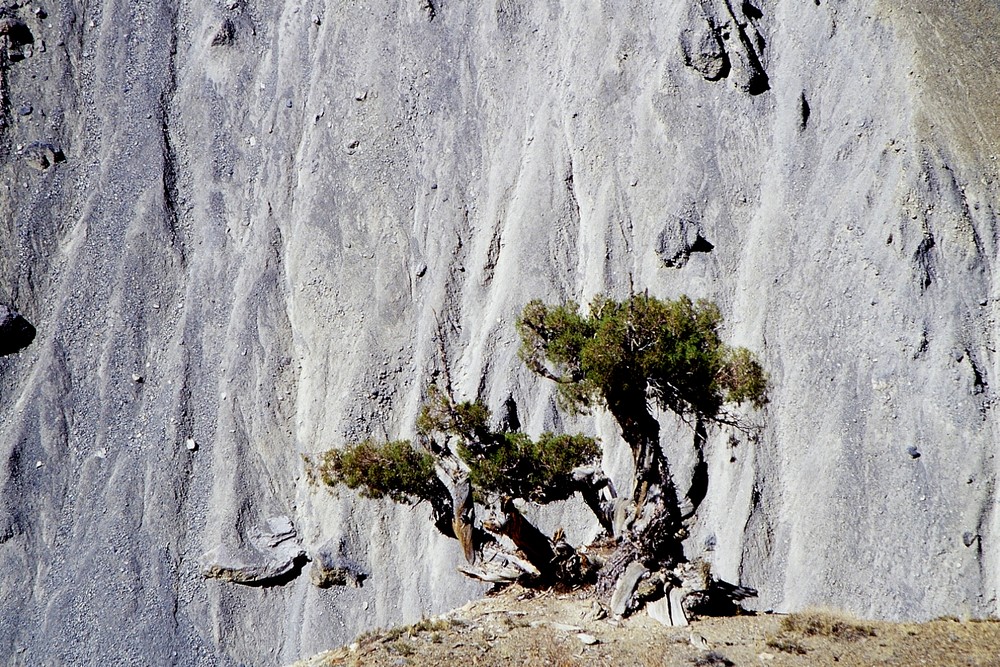 cd04-img037-.jpg