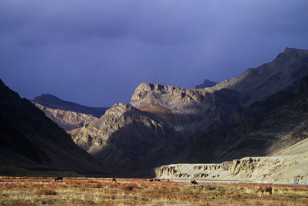 cd06-img001-.jpg