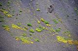 miniature-cd02-img010-.jpg