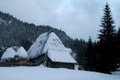 Monts Apuseni et Maramures Roumanie Hiver 2008