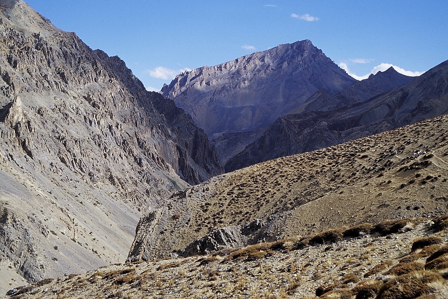 cd01-img015.jpg