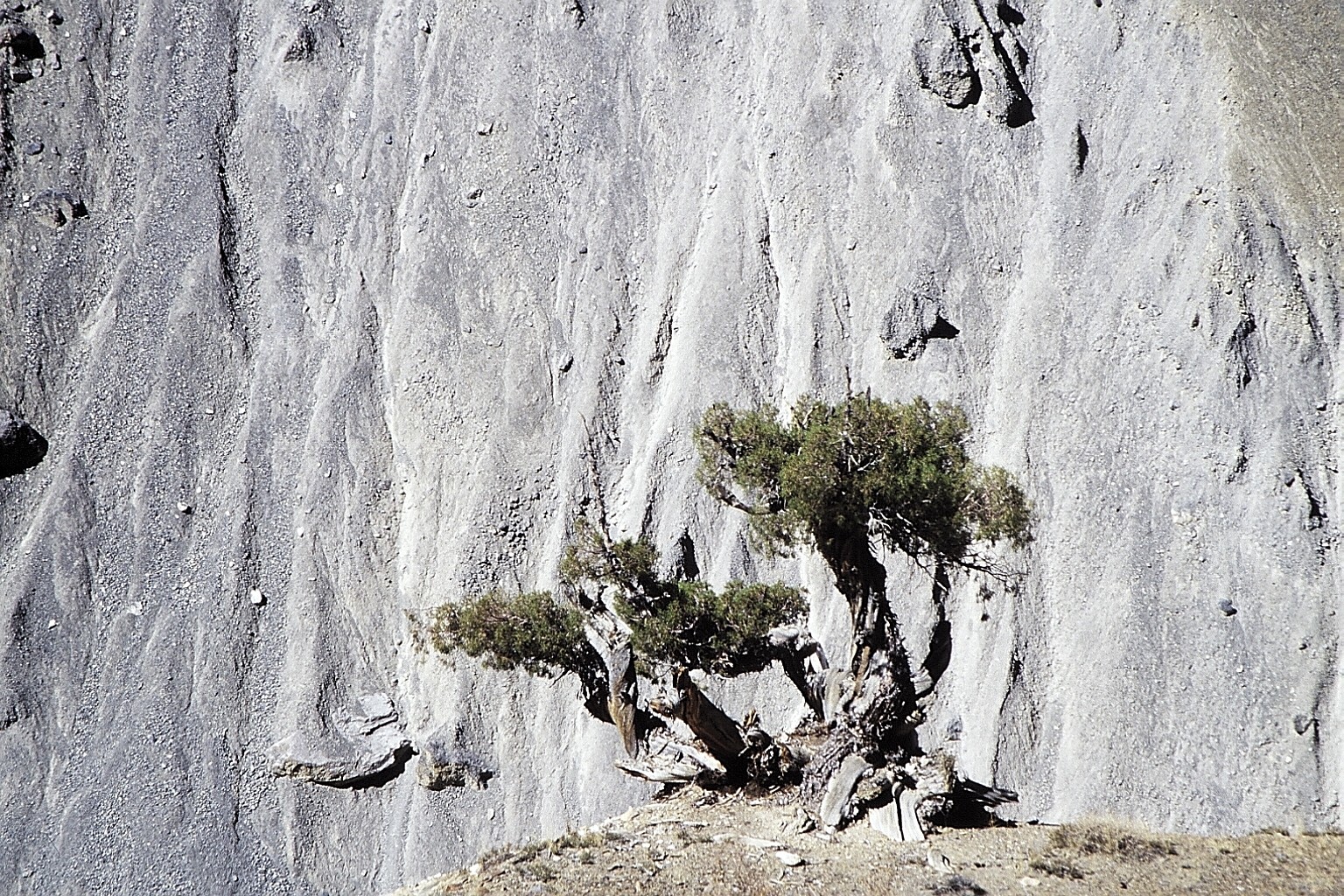 cd04-img037.jpg