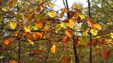miniature-IMG_2442_v2_1000.jpg