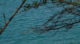 miniature-IMG_2525_v2-1200.jpg