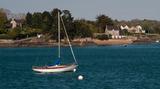 Le long de l'estuaire de la Rance - avril 2014