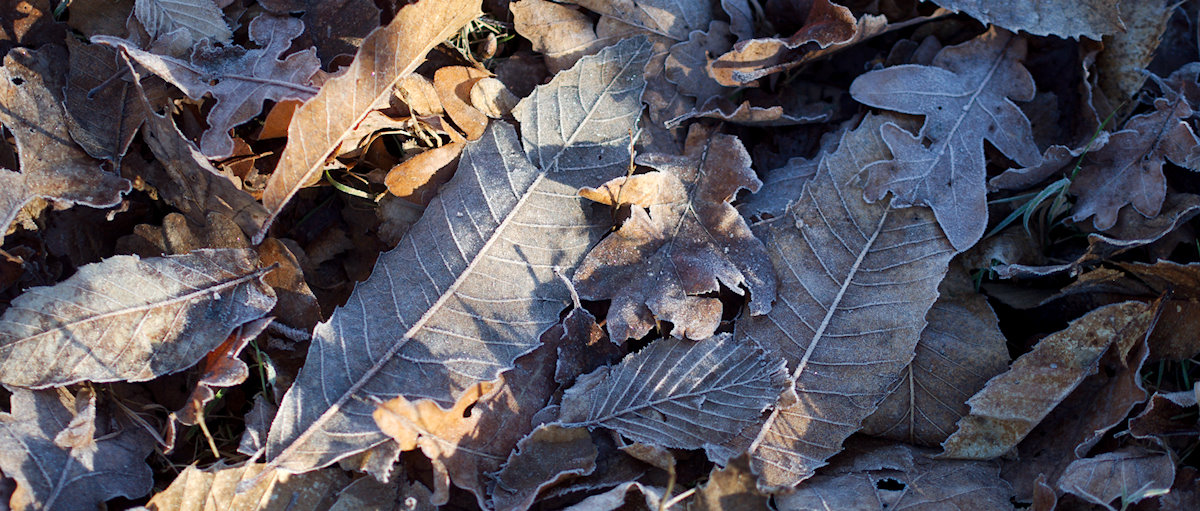 I0001632_v2_1200.jpg