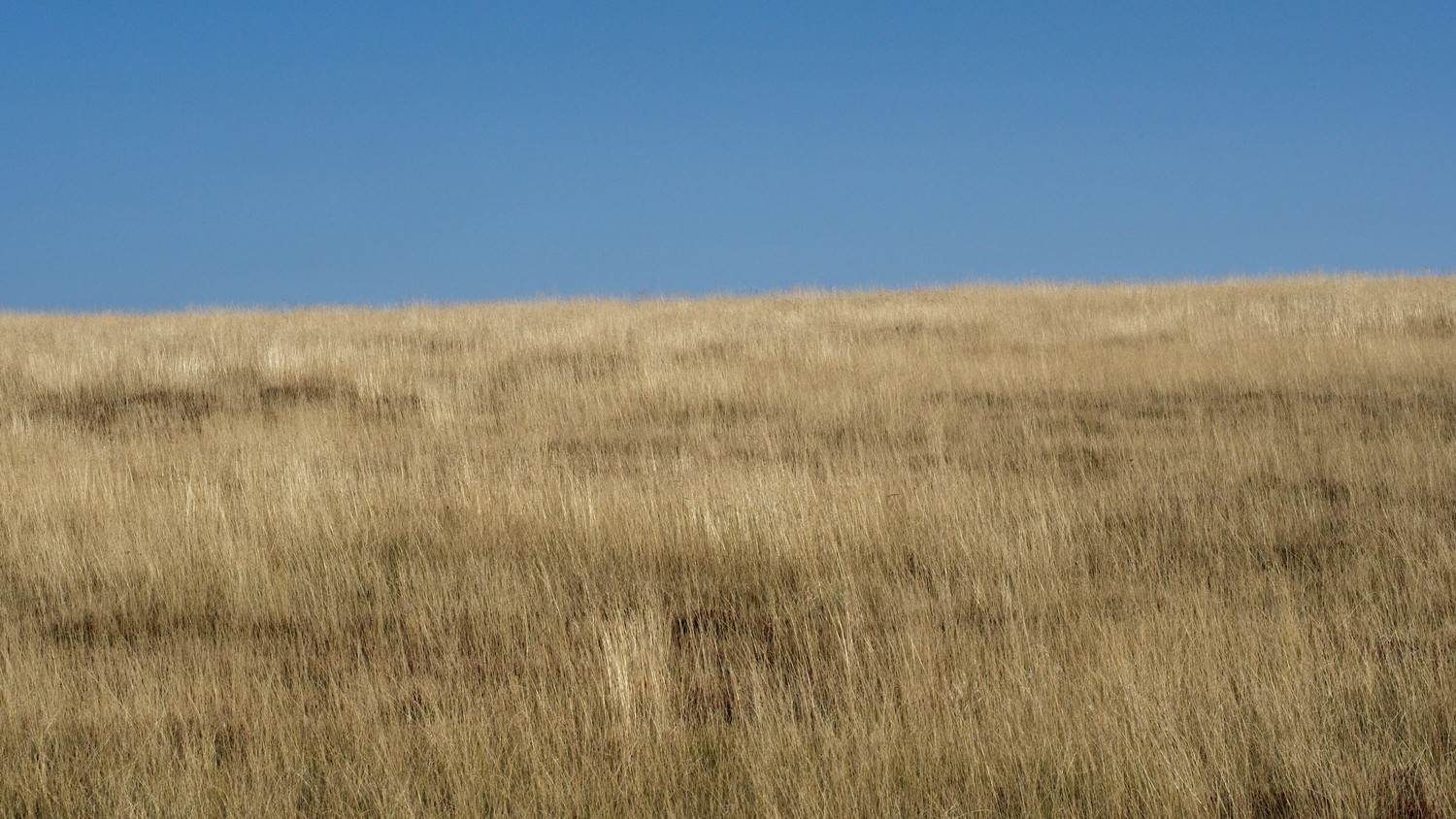 P9080157.jpg
