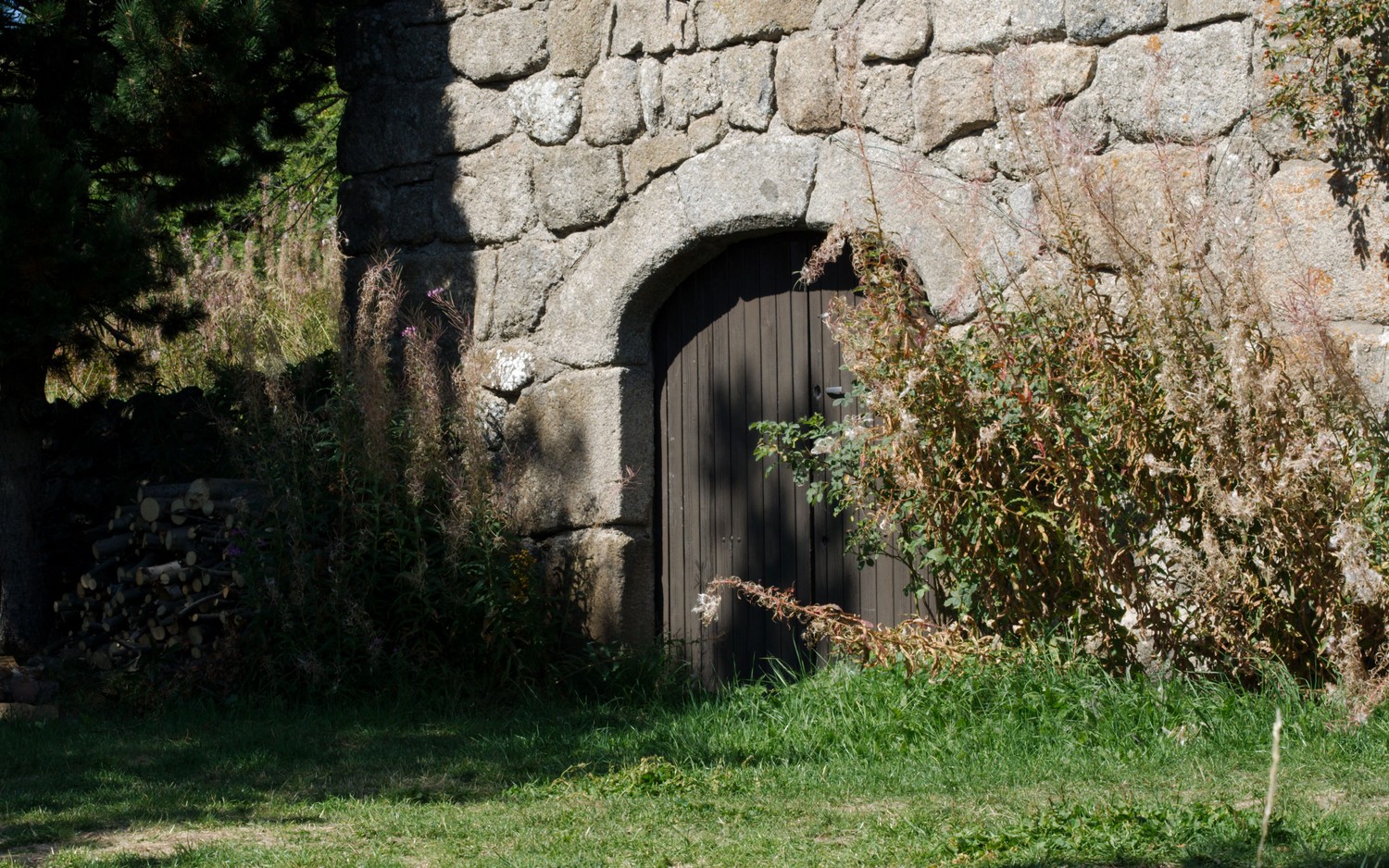 P9080243.jpg