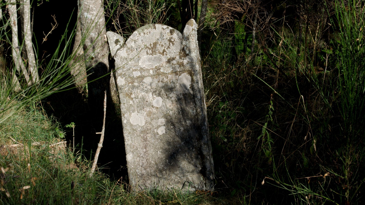 P9090256.jpg