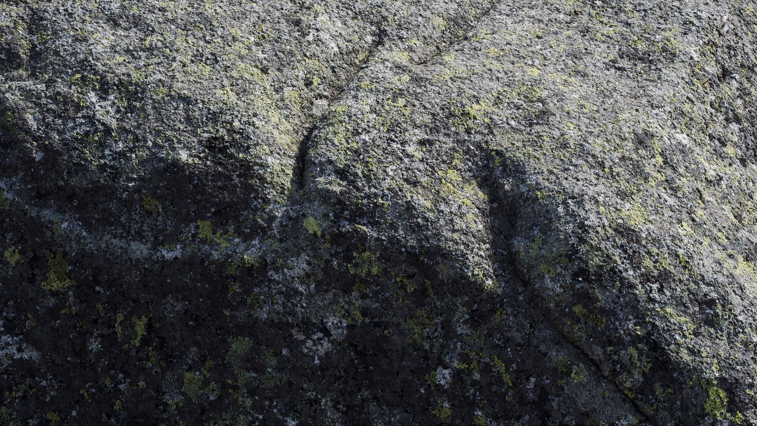 P9100341.jpg