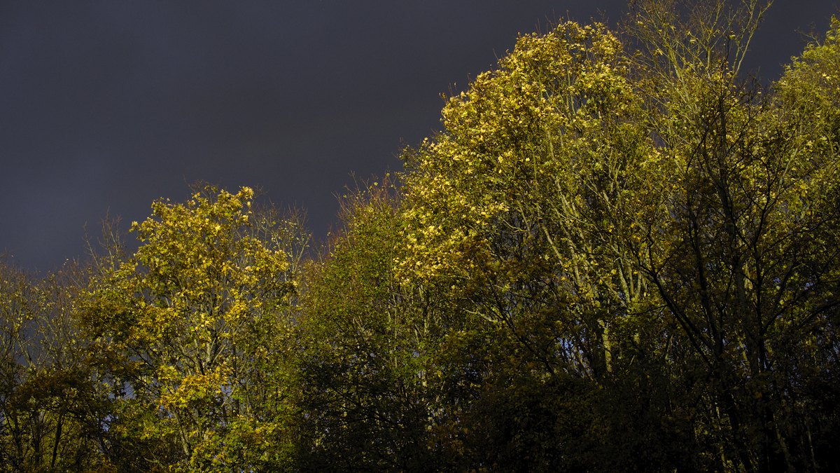 PB120734.jpg