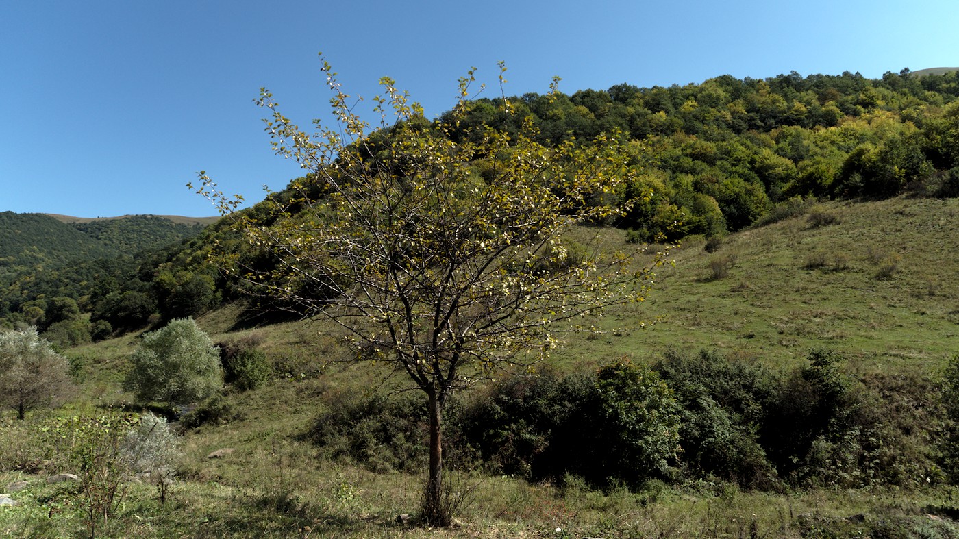 P9120265.jpg