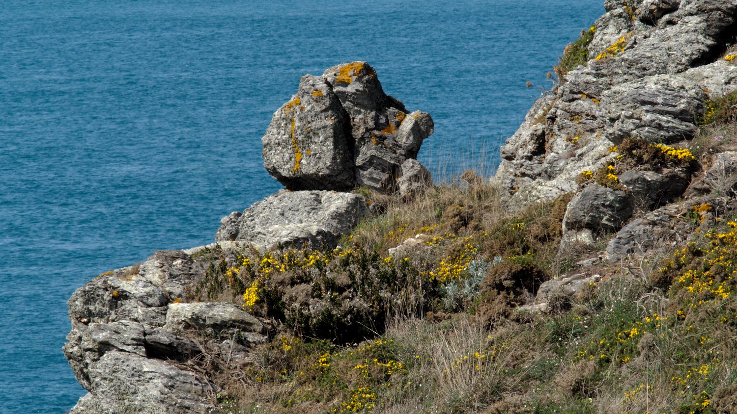 P4171191.jpg
