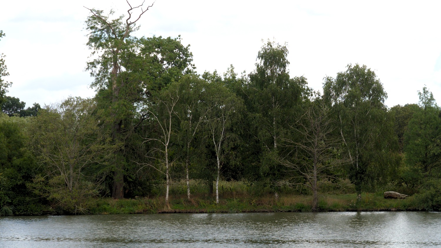 P8151668.jpg
