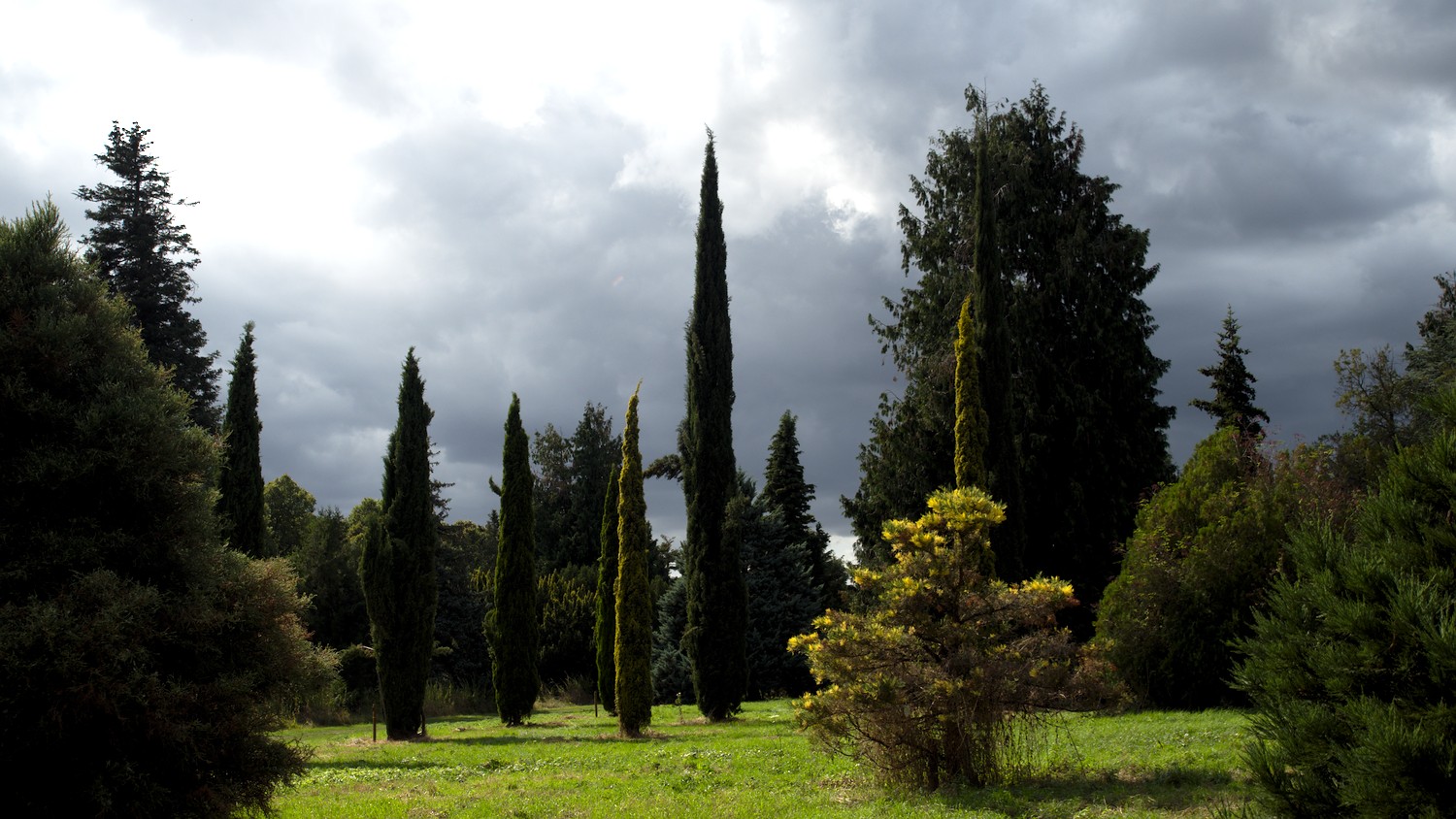 P8151725.jpg