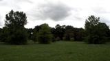 miniature-P8151679.jpg