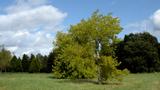 miniature-P8151688.jpg