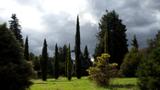 miniature-P8151725.jpg