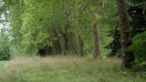 miniature-P8151729.jpg