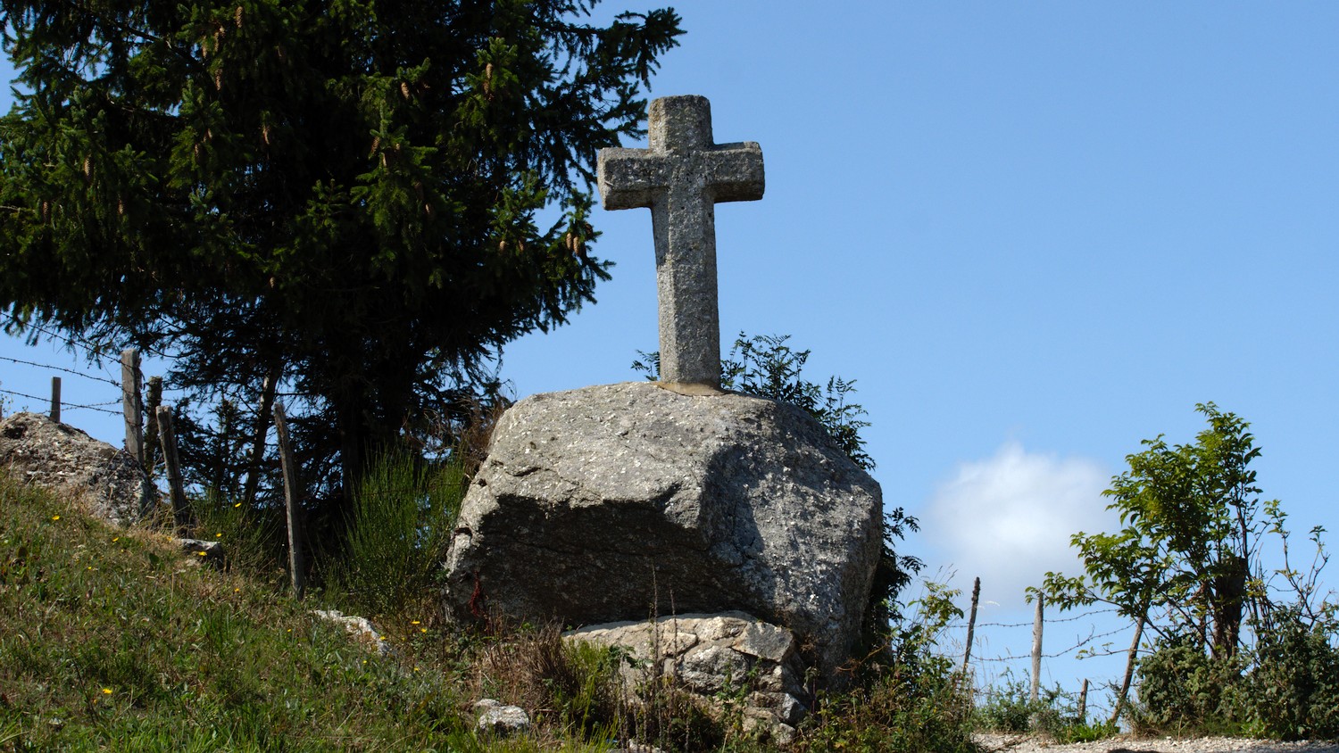 P9052242.jpg