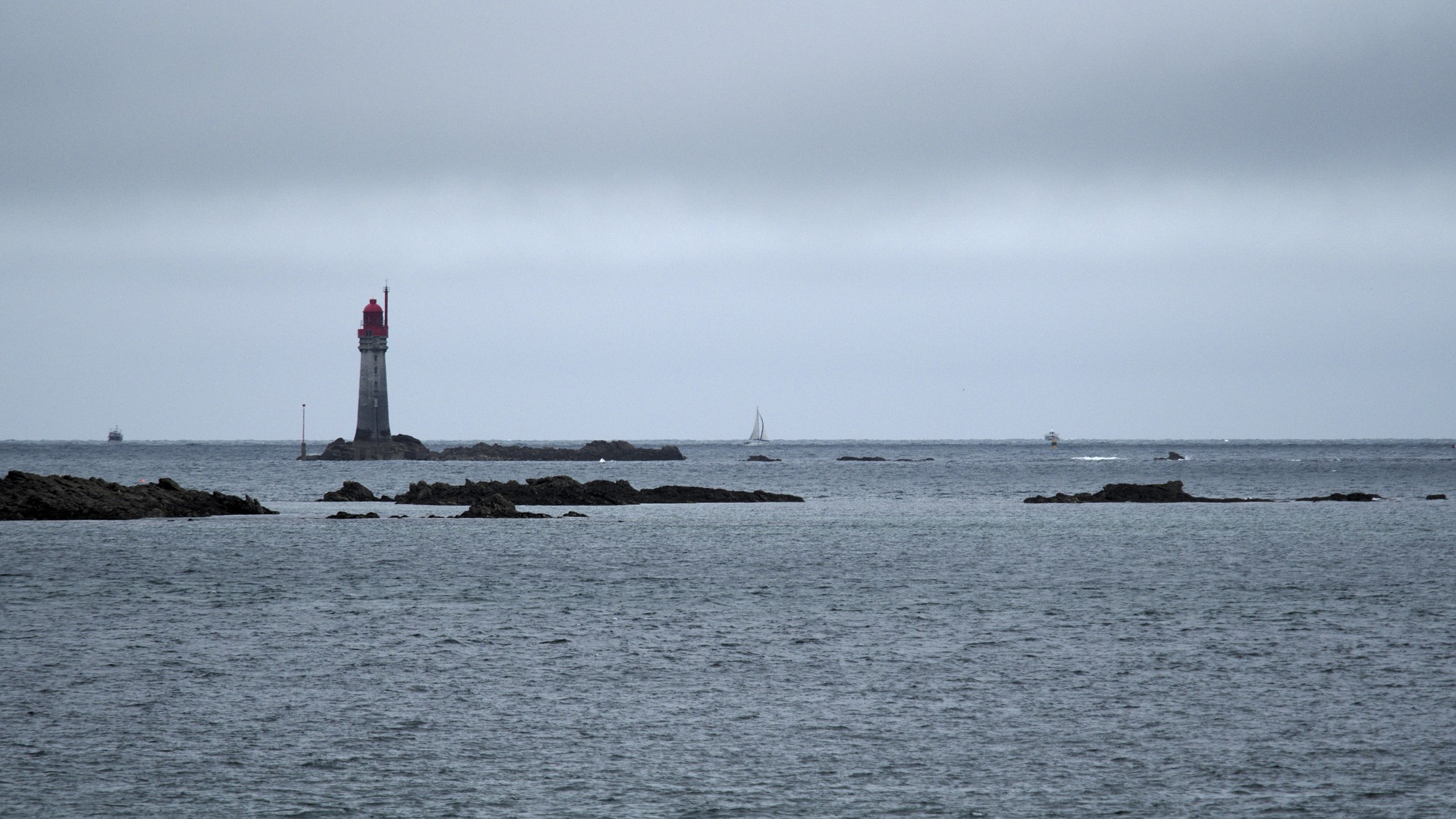 P7143773.jpg