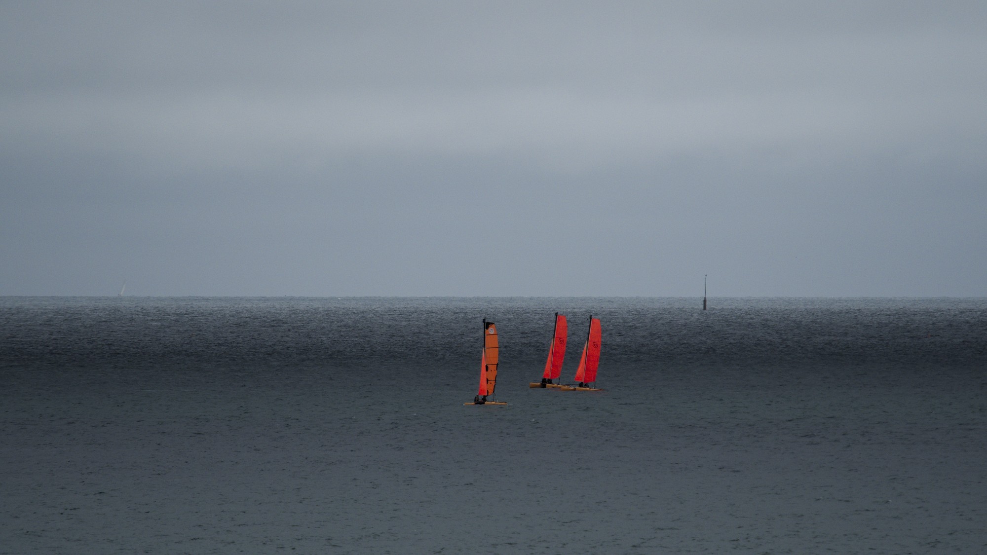 P7143788.jpg