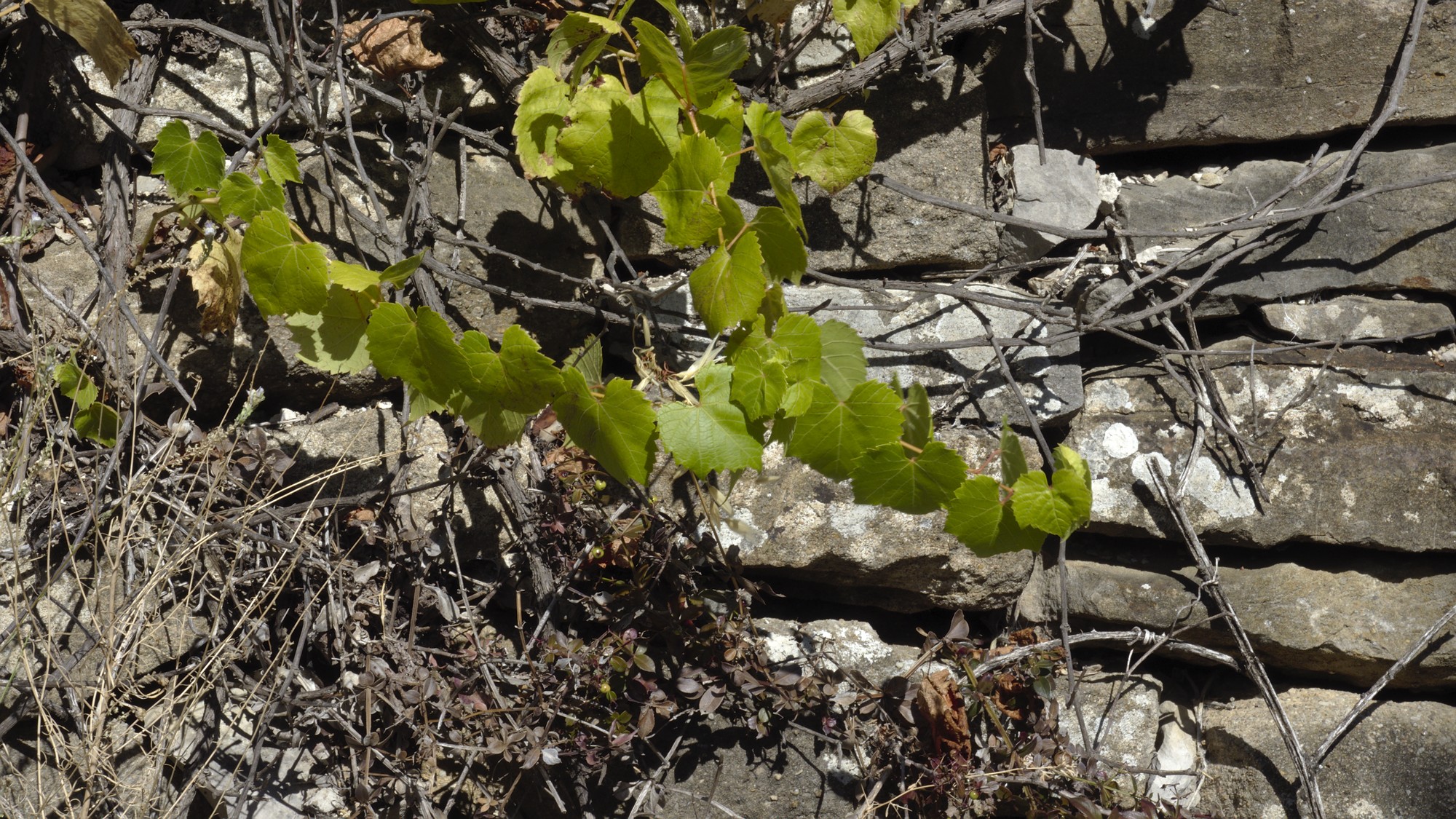 P9074064.jpg